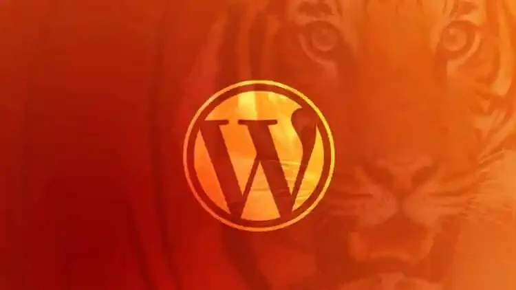 Wordpress Development Learning Path Wordpress Development